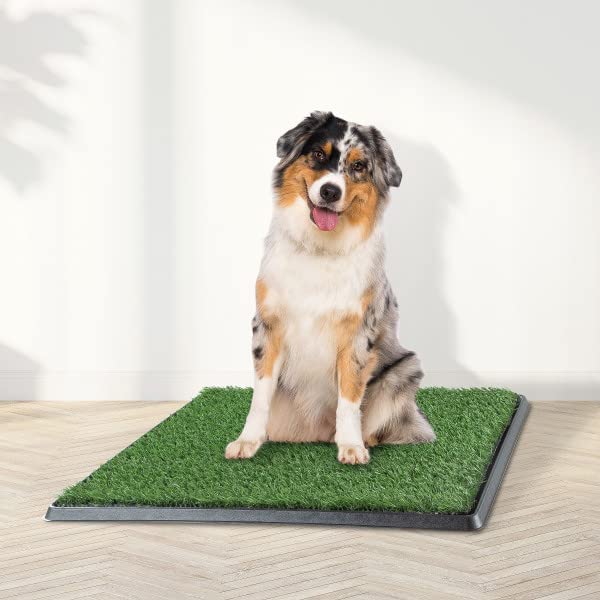 Artificial Grass Puppy Pee Pad for Dogs and Small Pets